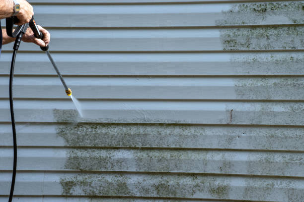 Best Steel Siding Installation  in Taylor, AZ