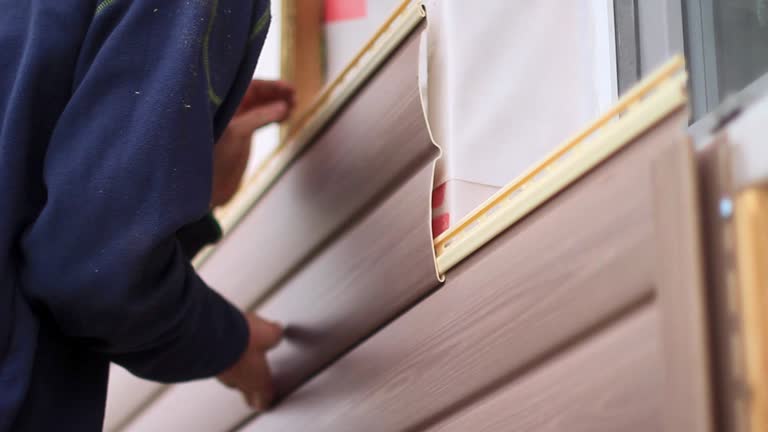 Best Siding for Commercial Buildings  in Taylor, AZ